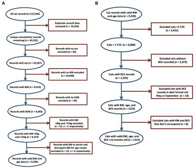 Bodyweight and body condition scores of Australian British shorthaired cats, 2008–2017